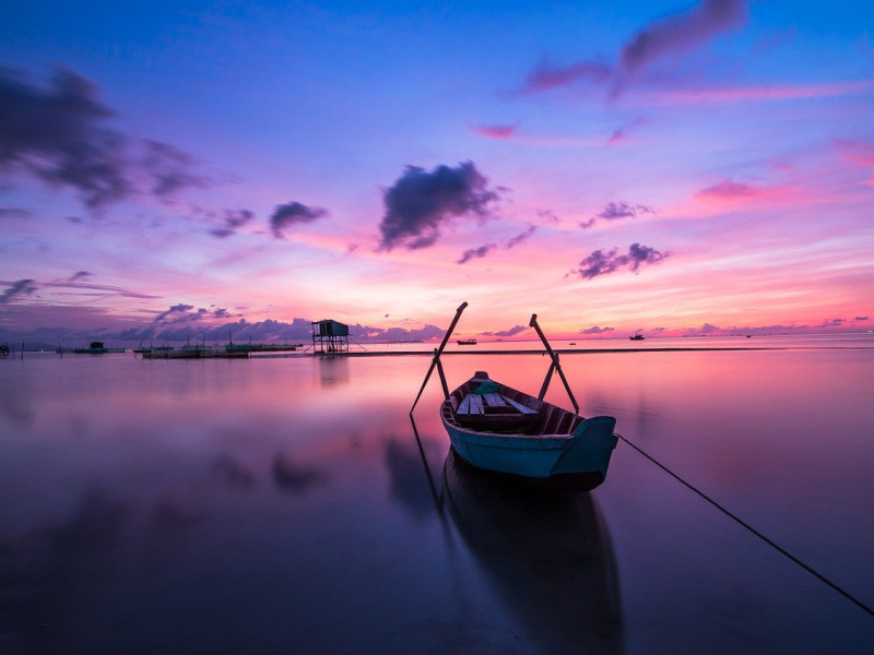 Immagine descrittiva - BY Foto di Quang Le da Pixabay Immagine descrittiva - BY Foto di Quang Le da Pixabay