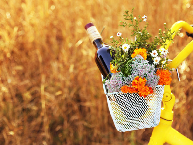 Immagine descrittiva - BY  [123rf/serezniy] 