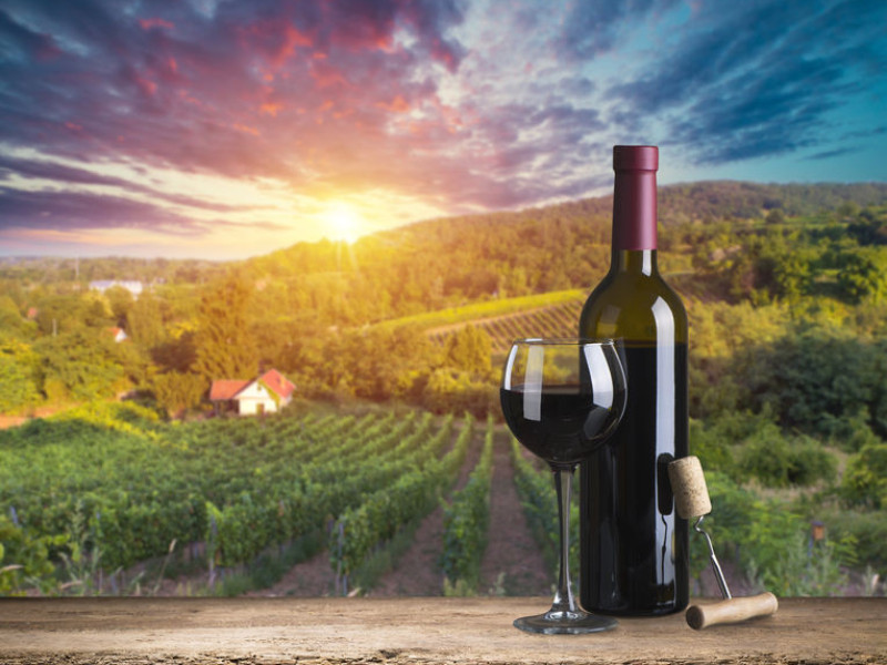 Immagine descrittiva - BY  [123rf/ Ivan Kish] 