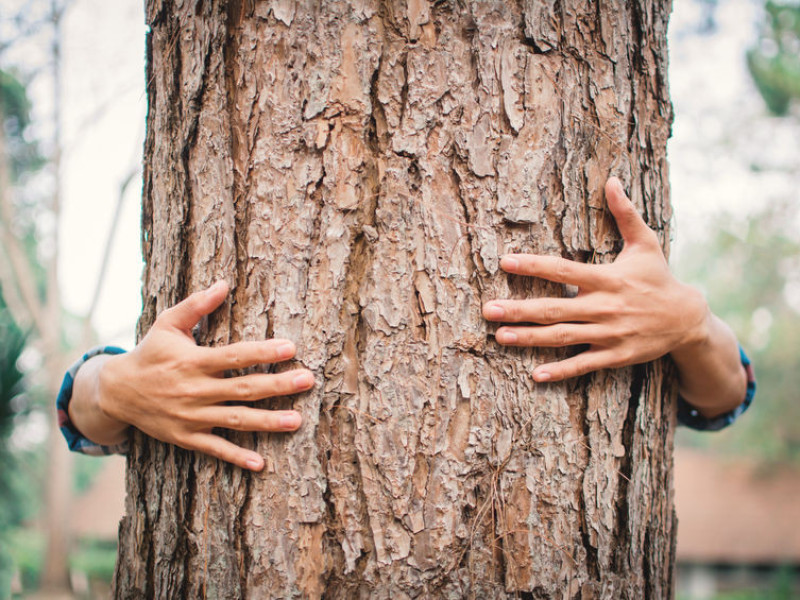 Immagine descrittiva - BY  [123rf/Sawitree Pamee] 