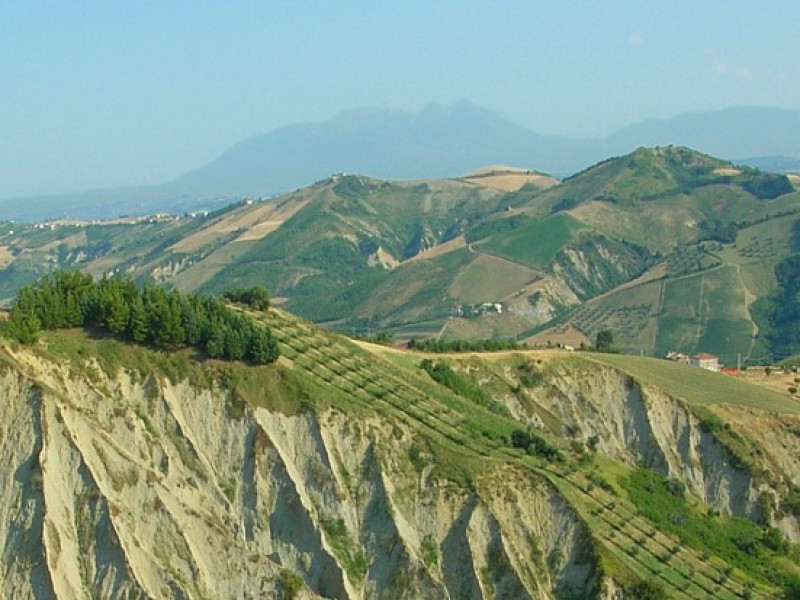 Immagine descrittiva - CC BY-SA Di Idéfix at nl.wikipedia, CC BY-SA 3.0, https://commons.wikimedia.org/w/index.php?curid=3217159 Immagine descrittiva - CC BY-SA Di Idéfix at nl.wikipedia, CC BY-SA 3.0, https://commons.wikimedia.org/w/index.php?curid=3217159