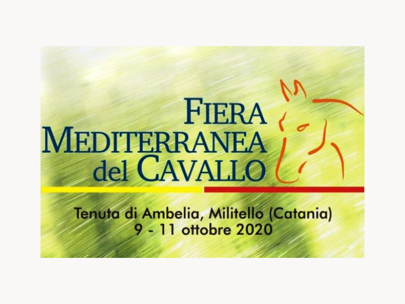 Immagine descrittiva - Immagine descrittiva -
