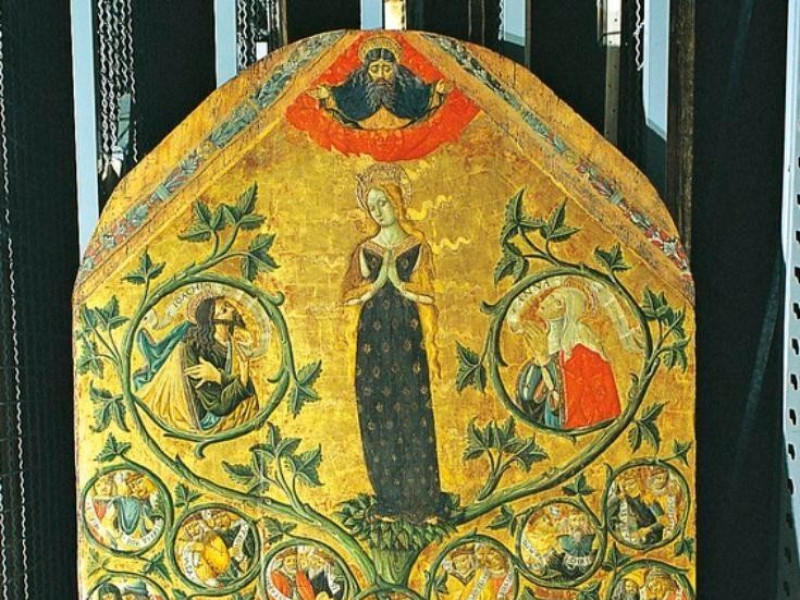 jpg; 565 pixels; 768 pixels jpg; 565 pixels; 768 pixels