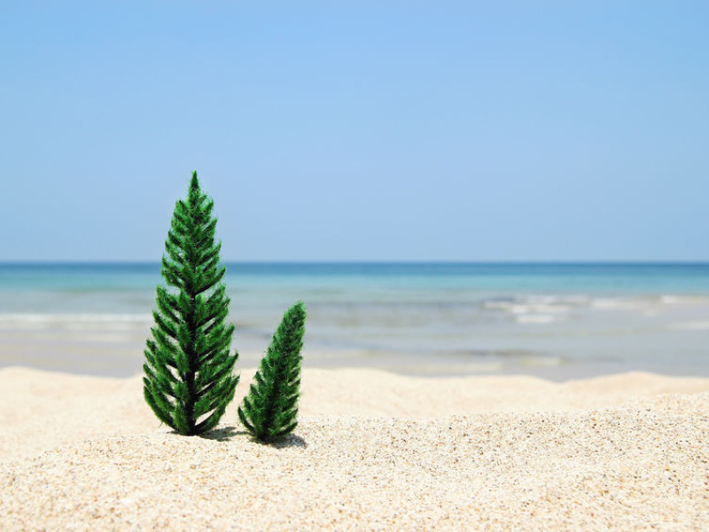 Immagine descrittiva - BY  [123rf/Nadezhda Zaitceva] 