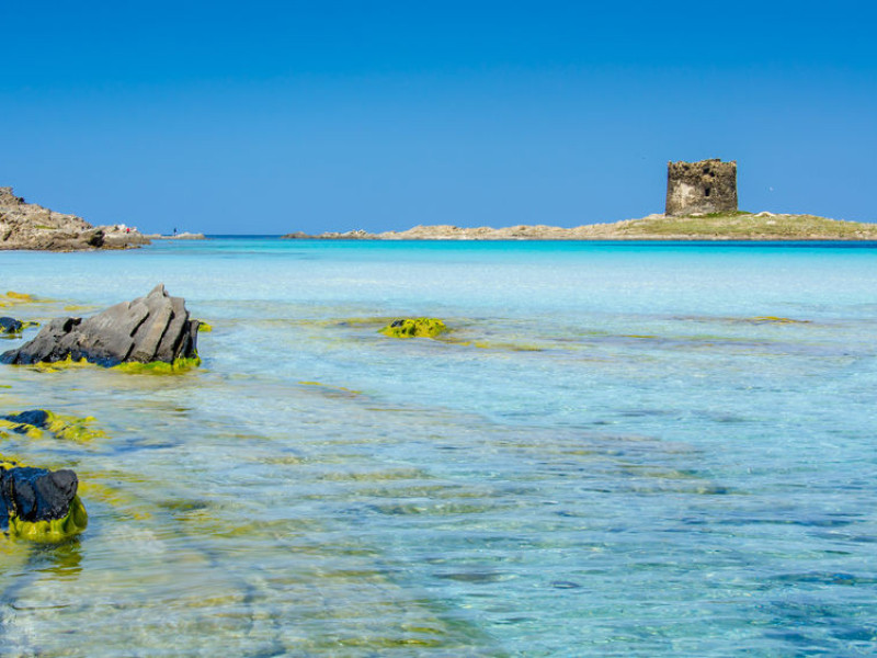 Immagine descrittiva - BY  [123rf/Simon Dannhauer] 