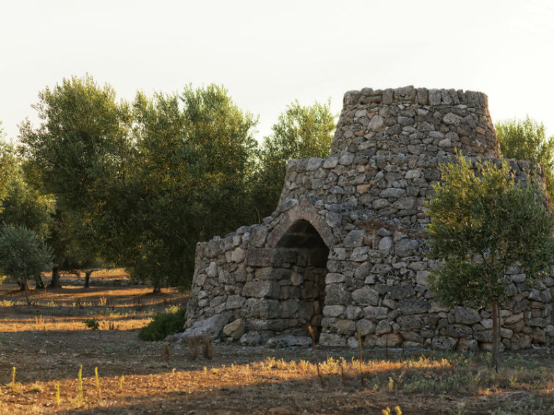 Immagine descrittiva - BY  [123rf/fAnna Fedorova] 