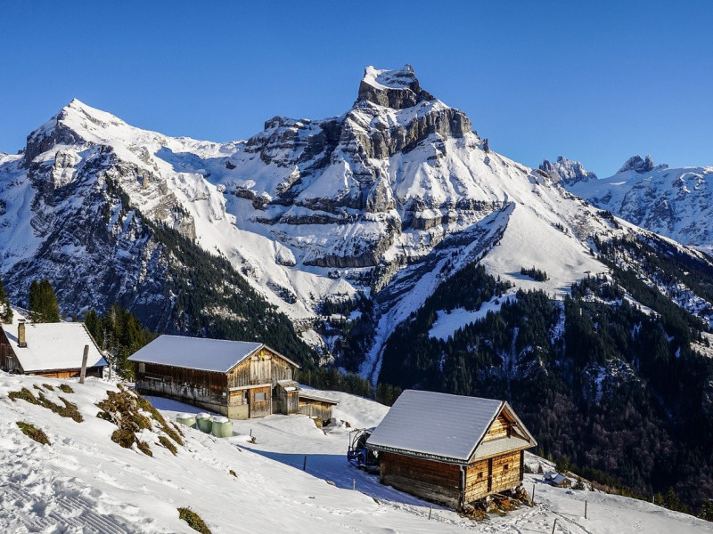 Immagine descrittiva - BY Foto di Susanne Jutzeler, suju-foto da Pixabay Immagine descrittiva - BY Foto di Susanne Jutzeler, suju-foto da Pixabay