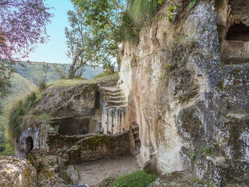 Immagine descrittiva - BY Filip Fuxa [123RF]