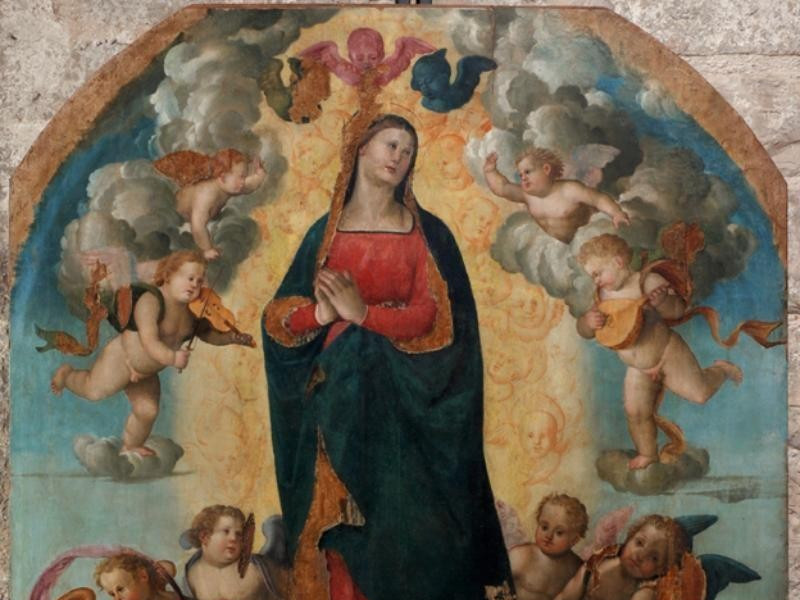 Timoteo Viti o Giuliano Persciutti, Tavola de Bellu, Sandro; jpg; 624 pixels; 780 pixels