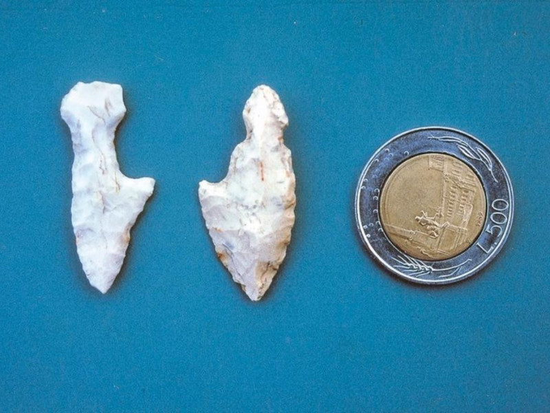 Ami in selce,  Paleolitico superiore - Mesoli Giorgetti, Alessio; jpg; 768 pixels; 536 pixels Ami in selce,  Paleolitico superiore - Mesoli Giorgetti, Alessio; jpg; 768 pixels; 536 pixels