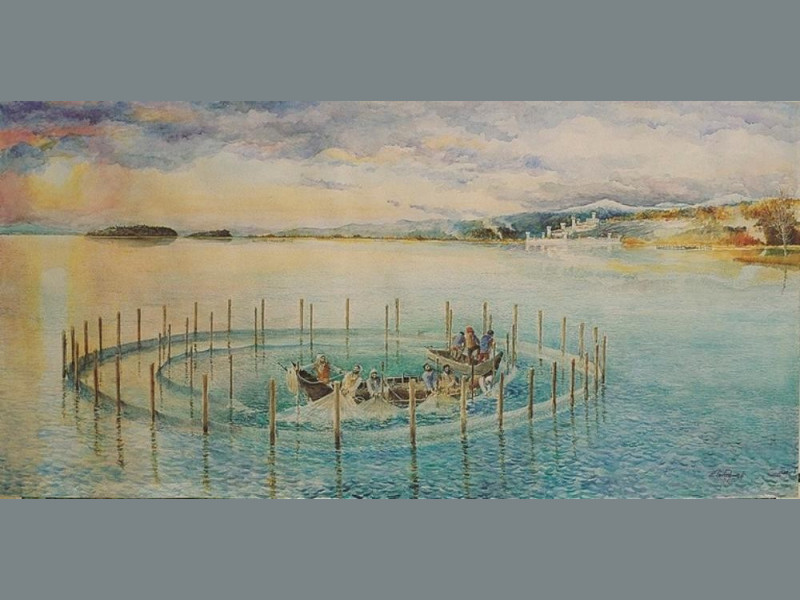 La pesca del toro nel XVI secolo. Ricostruzio Giorgetti, Alessio; jpg; 768 pixels; 382 pixels La pesca del toro nel XVI secolo. Ricostruzio Giorgetti, Alessio; jpg; 768 pixels; 382 pixels