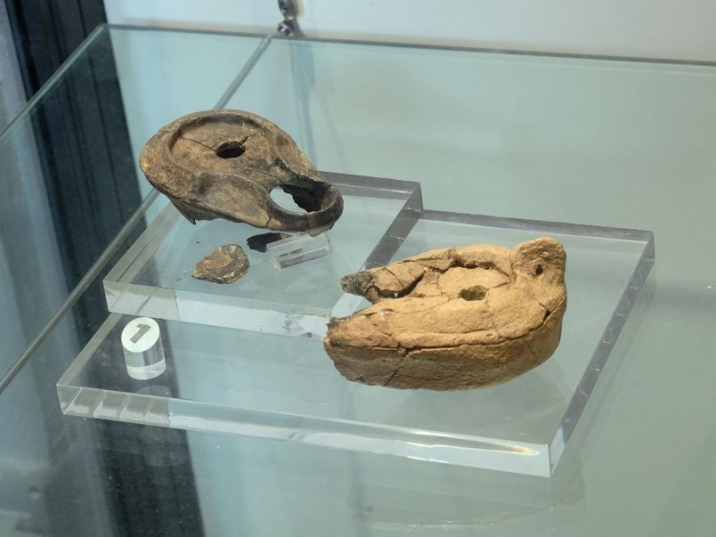 Catacomba di Villa S. Faustino. Lucerne Fedeli, Marcello; jpg; 2126 pixels; 1417 pixels Catacomba di Villa S. Faustino. Lucerne Fedeli, Marcello; jpg; 2126 pixels; 1417 pixels