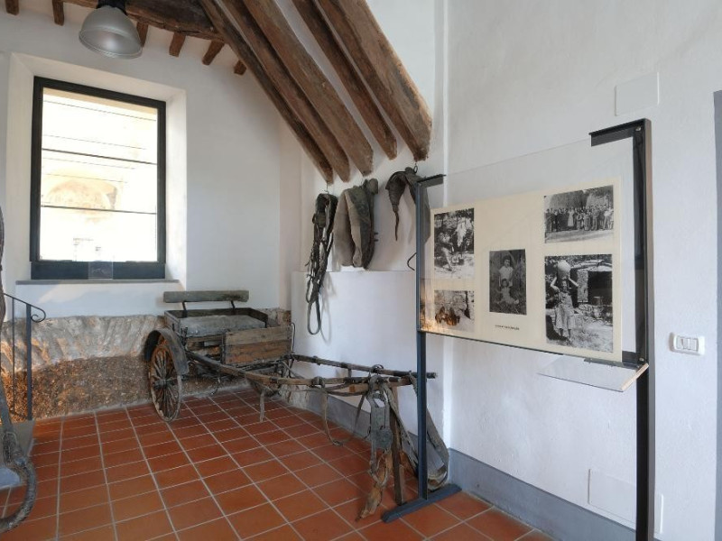 Centro documentazione Monti Martani. Sala esp Fedeli, Marcello; jpg; 2126 pixels; 1417 pixels Centro documentazione Monti Martani. Sala esp Fedeli, Marcello; jpg; 2126 pixels; 1417 pixels