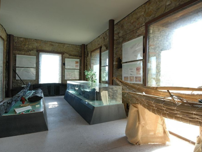 Centro di Documentazione Imbarcazioni Tradizi Fedeli, Marcello; jpg; 2126 pixels; 1417 pixels Centro di Documentazione Imbarcazioni Tradizi Fedeli, Marcello; jpg; 2126 pixels; 1417 pixels