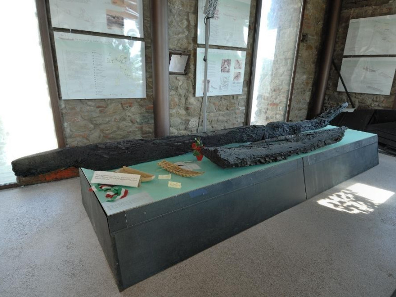 Centro di Documentazione Imbarcazioni Tradizi Fedeli, Marcello; jpg; 2126 pixels; 1417 pixels Centro di Documentazione Imbarcazioni Tradizi Fedeli, Marcello; jpg; 2126 pixels; 1417 pixels