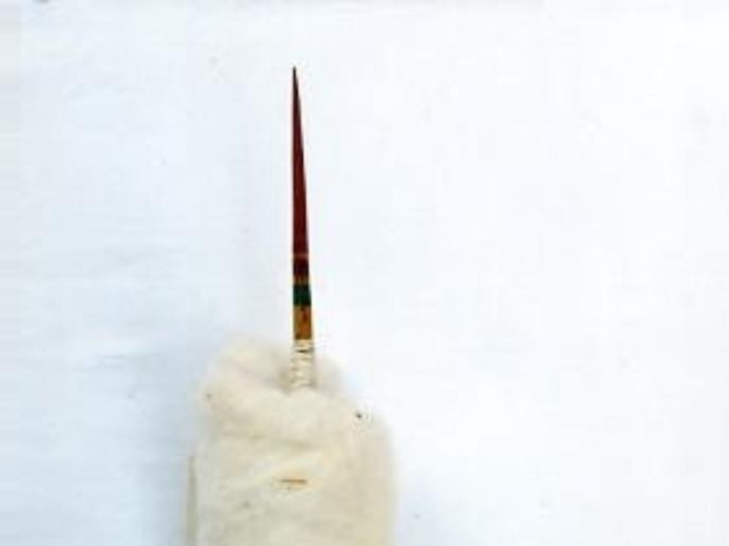 Centro di documentazione e ricerca Circolo Am CE.DO.RI.C.A.; jpg; 281 pixels; 409 pixels