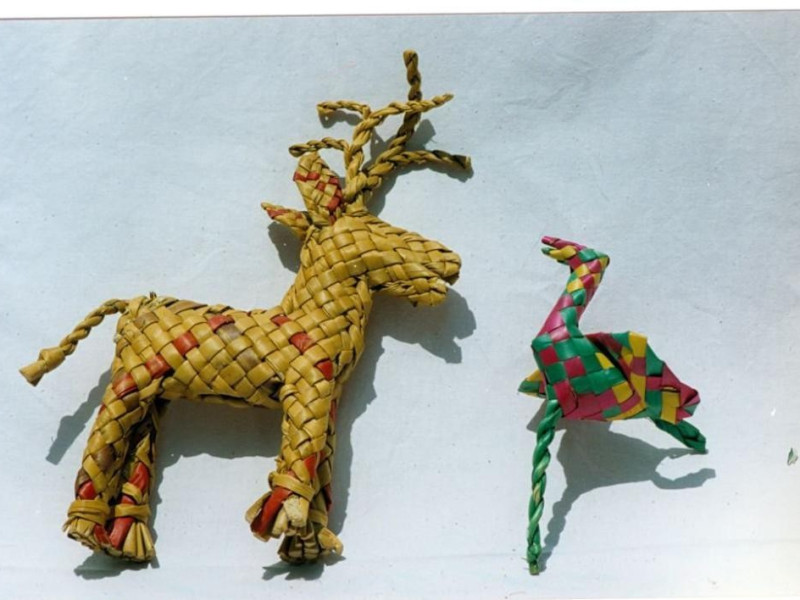 Centro di documentazione e ricerca Circolo Am CE.DO.RI.C.A.; jpg; 1024 pixels; 725 pixels