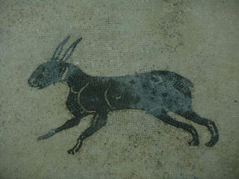 Mosaico di Sant' Elisabetta, particolare. Bovini, Mirko; jpg; 768 pixels; 576 pixels