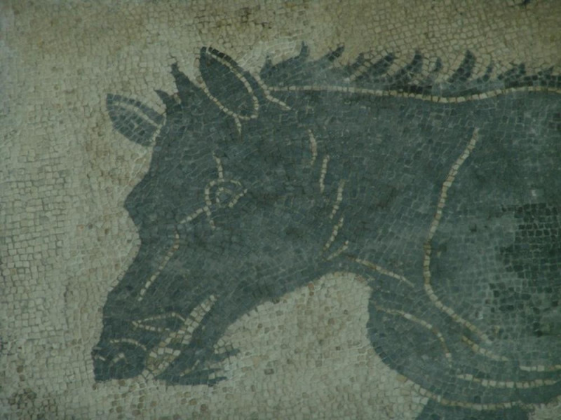 Mosaico di Sant' Elisabetta, particolare. Bovini, Mirko; jpg; 768 pixels; 576 pixels