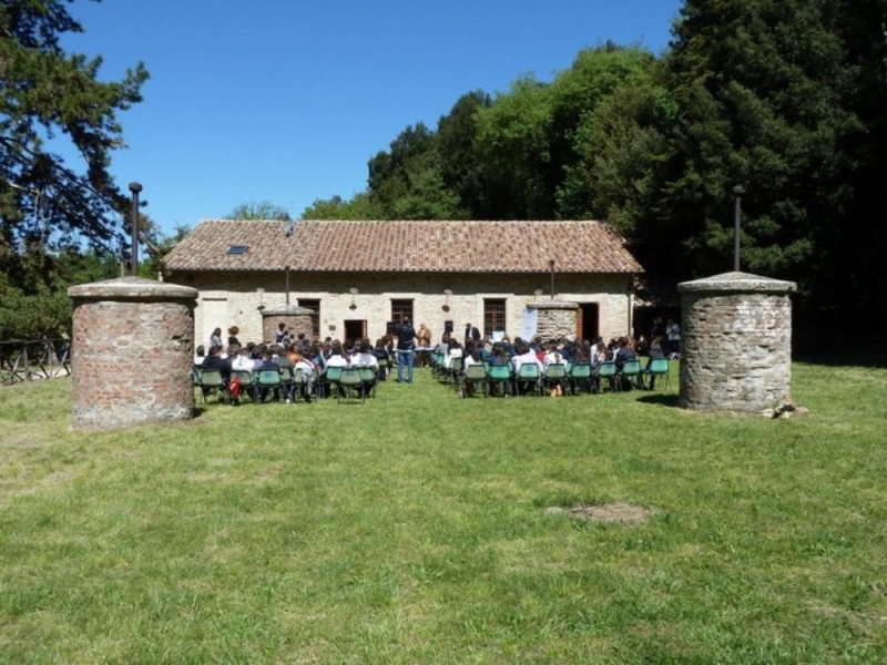 jpg; 768 pixels; 576 pixels