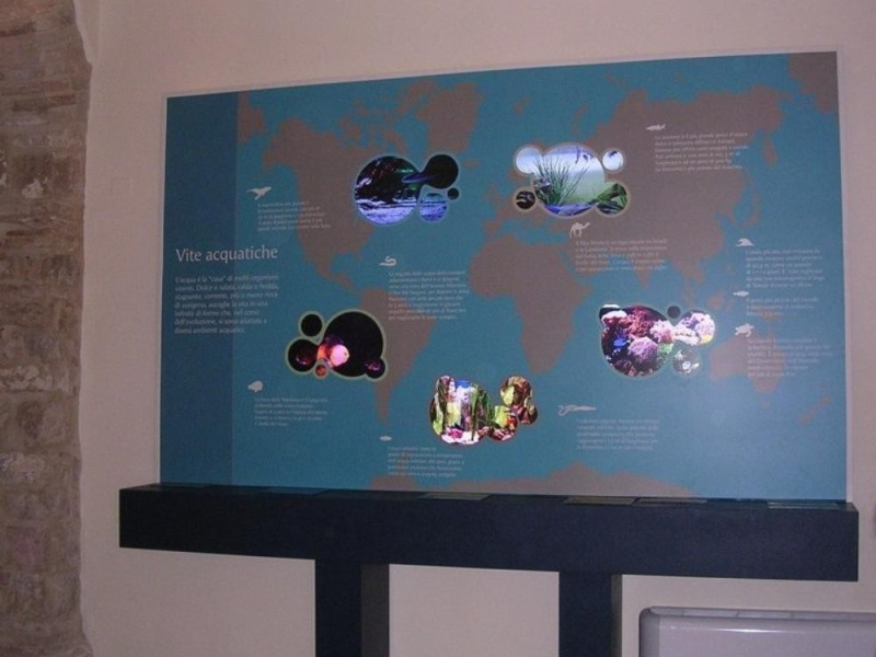 jpg; 768 pixels; 597 pixels