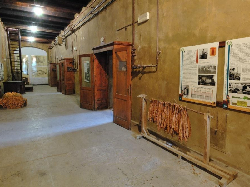 Museo storico e scientifico del Tabacco. Sala Fedeli, Marcello; jpg; 2126 pixels; 1417 pixels Museo storico e scientifico del Tabacco. Sala Fedeli, Marcello; jpg; 2126 pixels; 1417 pixels