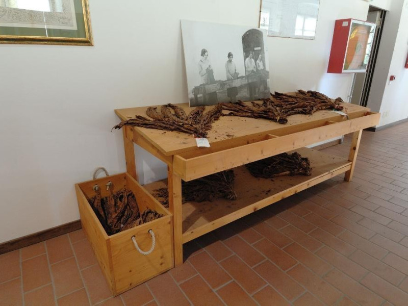 Museo storico e scientifico del Tabacco.Tavol Fedeli, Marcello; jpg; 2126 pixels; 1417 pixels Museo storico e scientifico del Tabacco.Tavol Fedeli, Marcello; jpg; 2126 pixels; 1417 pixels