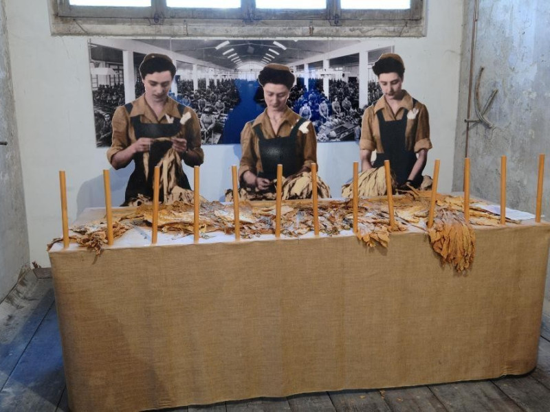 Museo storico e scientifico del Tabacco. Tavo Fedeli, Marcello; jpg; 2126 pixels; 1417 pixels Museo storico e scientifico del Tabacco. Tavo Fedeli, Marcello; jpg; 2126 pixels; 1417 pixels
