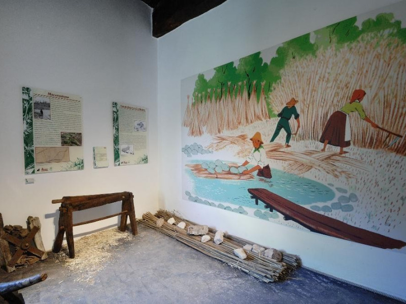 Museo della canapa. Sala espositiva. jpg; 2126 pixels; 1417 pixels Museo della canapa. Sala espositiva. jpg; 2126 pixels; 1417 pixels