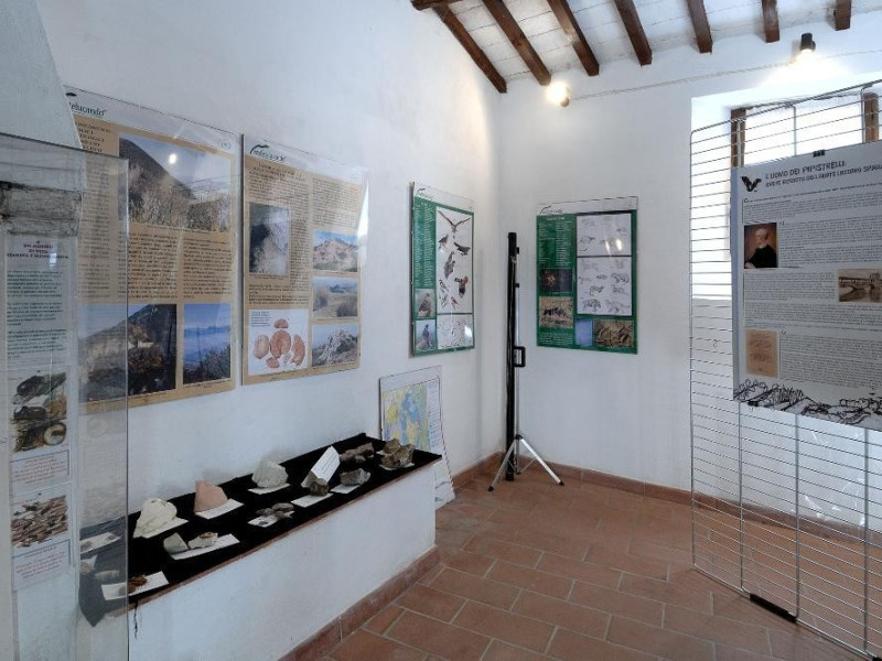 Centro visita di Monteluco. Sala espositiva. jpg; 2126 pixels; 1417 pixels Centro visita di Monteluco. Sala espositiva. jpg; 2126 pixels; 1417 pixels