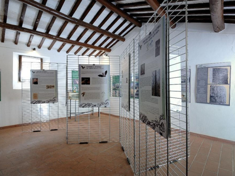 Centro visita di Monteluco. Sala espositiva. jpg; 2126 pixels; 1417 pixels Centro visita di Monteluco. Sala espositiva. jpg; 2126 pixels; 1417 pixels