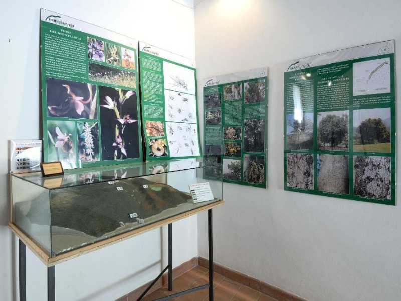 Centro visita di Monteluco. Sala espositiva. jpg; 2126 pixels; 1417 pixels Centro visita di Monteluco. Sala espositiva. jpg; 2126 pixels; 1417 pixels