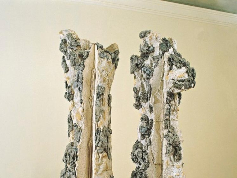 jpg; 574 pixels; 768 pixels jpg; 574 pixels; 768 pixels