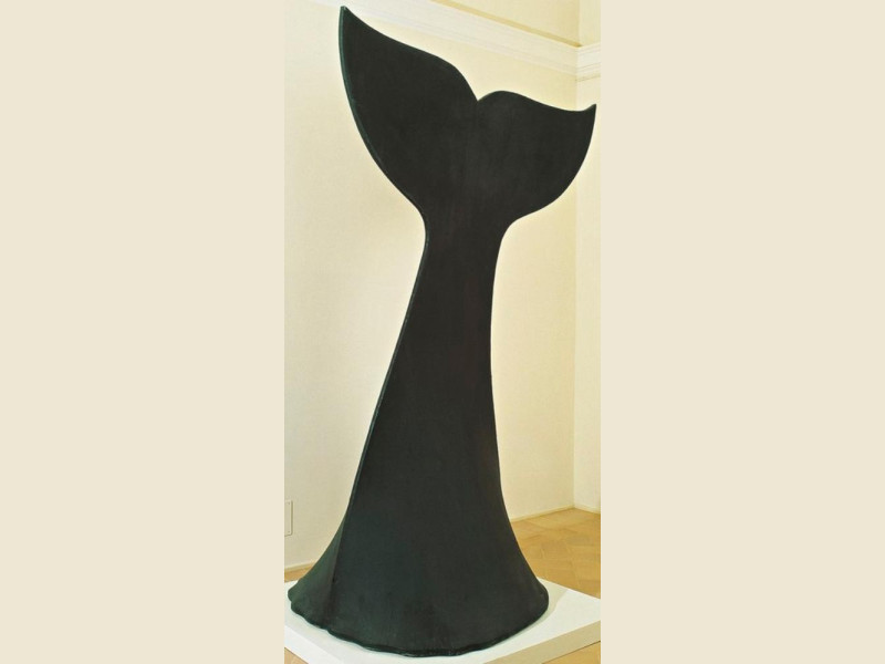 jpg; 366 pixels; 768 pixels jpg; 366 pixels; 768 pixels