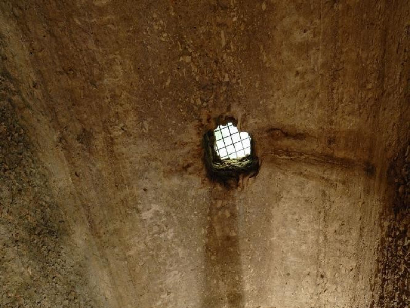 Immagine descrittiva - 