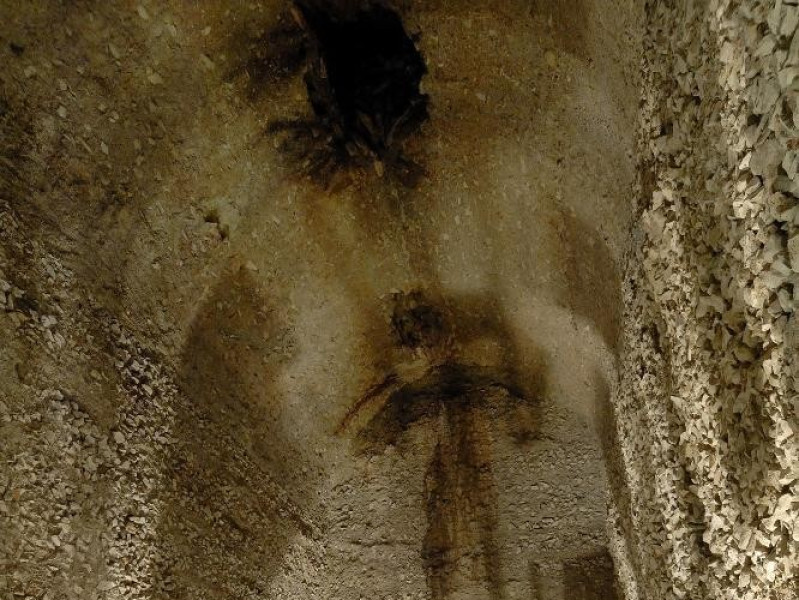 Immagine descrittiva - 