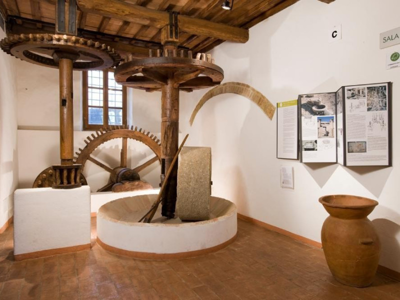 Museo dell'Olivo e dell'Olio. Sala espositiva jpg; 1417 pixels; 945 pixels Museo dell'Olivo e dell'Olio. Sala espositiva jpg; 1417 pixels; 945 pixels