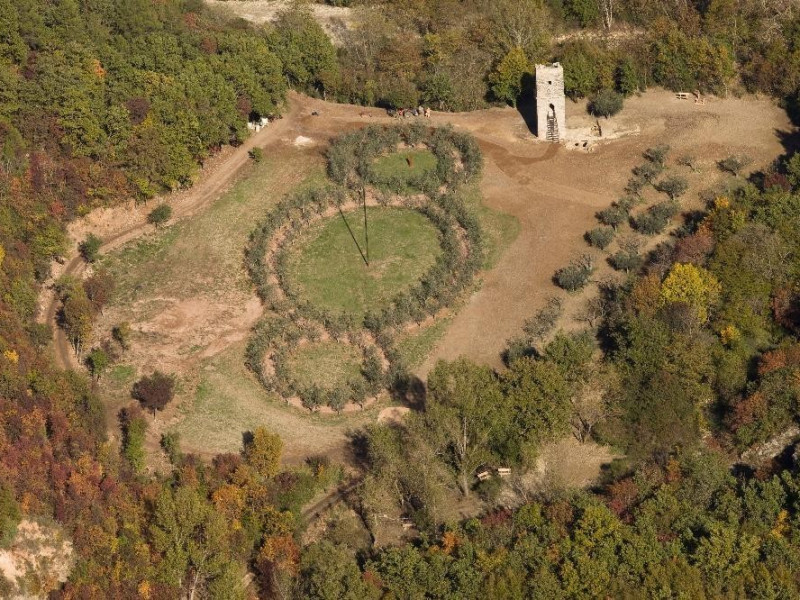 Veduta dall'alto Bosco di San Francesco, Assisi, FAI-Fondo Ambientale Italiano; jpg; 5616 pixels; 3744 pixels Veduta dall'alto Bosco di San Francesco, Assisi, FAI-Fondo Ambientale Italiano; jpg; 5616 pixels; 3744 pixels