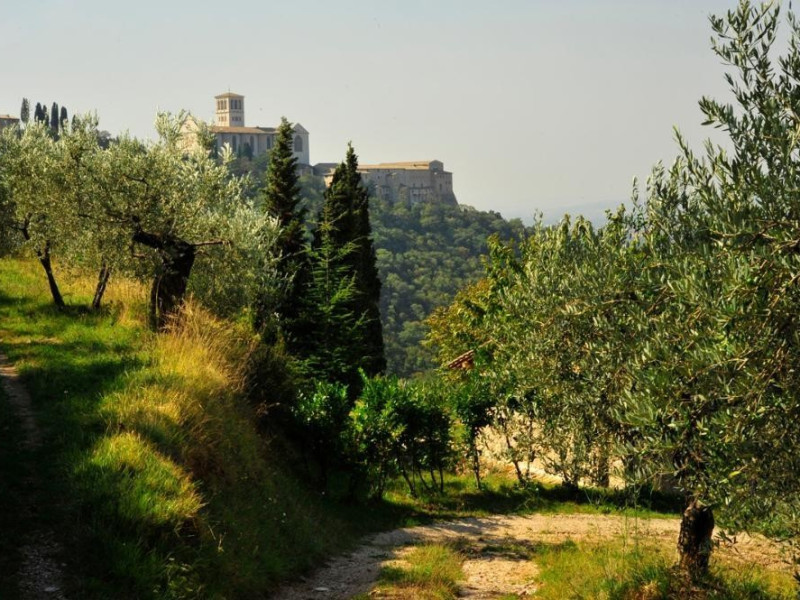 Sentieri Bosco di San Francesco, Assisi, FAI-Fondo Ambientale Italiano; jpg; 1200 pixels; 798 pixels Sentieri Bosco di San Francesco, Assisi, FAI-Fondo Ambientale Italiano; jpg; 1200 pixels; 798 pixels