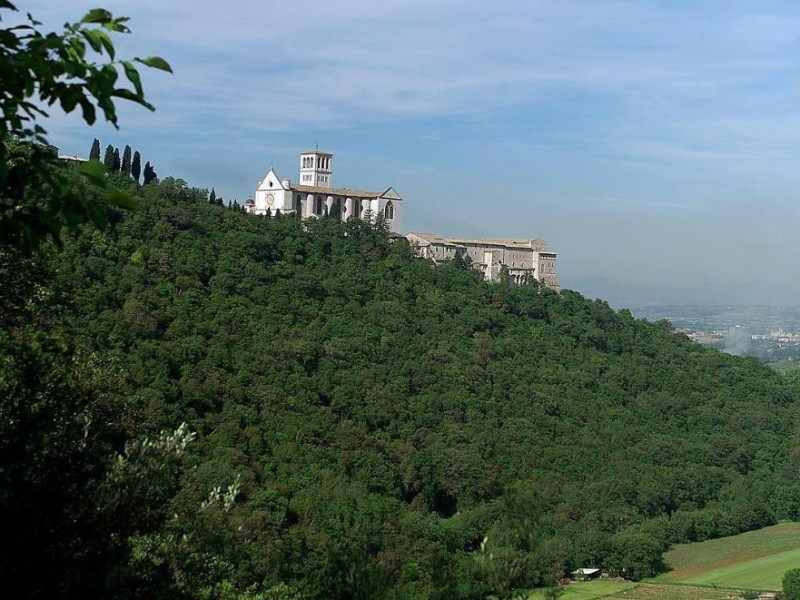 Veduta della Basilica di San Francesco Bosco di San Francesco, Assisi, FAI-Fondo Ambientale Italiano; jpg; 1213 pixels; 803 pixels Veduta della Basilica di San Francesco Bosco di San Francesco, Assisi, FAI-Fondo Ambientale Italiano; jpg; 1213 pixels; 803 pixels
