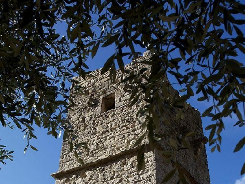 Torre Bosco di San Francesco, Assisi, FAI-Fondo Ambientale Italiano; jpg; 667 pixels; 1000 pixels Torre Bosco di San Francesco, Assisi, FAI-Fondo Ambientale Italiano; jpg; 667 pixels; 1000 pixels