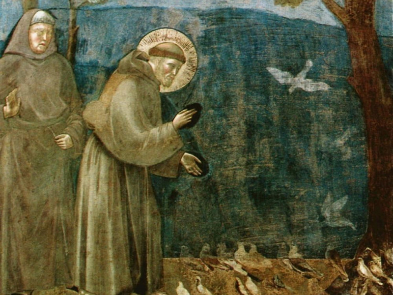 Basilica superiore. Giotto, La predica agli u jpg; 735 pixels; 592 pixels