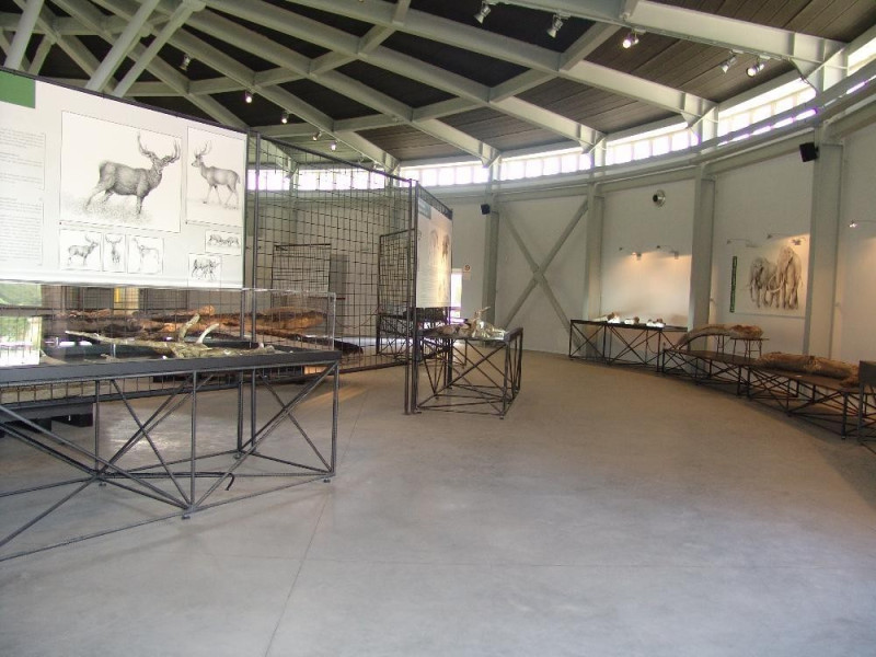 Museo Paleontologico "Luigi Boldrini" di Piet Bovini, Mirko; jpg; 3264 pixels; 2448 pixels Museo Paleontologico "Luigi Boldrini" di Piet Bovini, Mirko; jpg; 3264 pixels; 2448 pixels