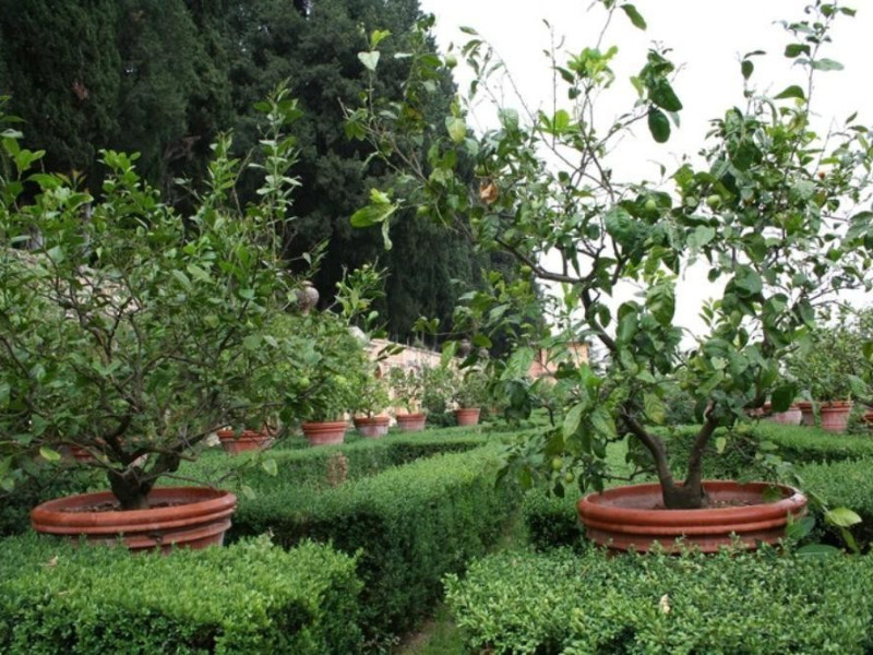 Villa Fidelia. Giardino all'italiana, partico Parco Tecnologico 3A-Progetto Ville e Giardini Regione Umbria; jpg; 768 pixels; 512 pixels Villa Fidelia. Giardino all'italiana, partico Parco Tecnologico 3A-Progetto Ville e Giardini Regione Umbria; jpg; 768 pixels; 512 pixels