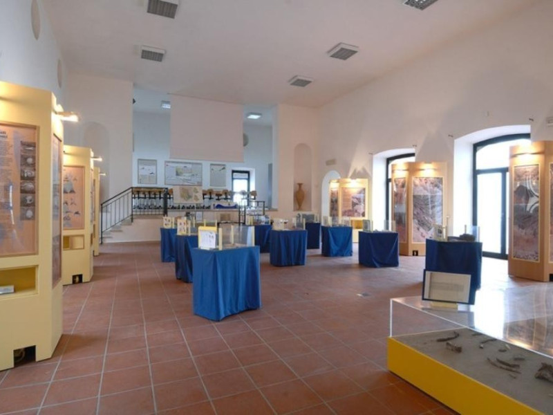 Interno. Sala espositiva. Fedeli, Marcello; jpg; 768 pixels; 511 pixels Interno. Sala espositiva. Fedeli, Marcello; jpg; 768 pixels; 511 pixels