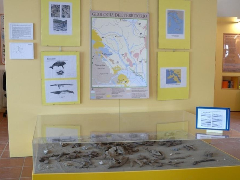 Interno: Reperti. Fedeli, Marcello; jpg; 768 pixels; 511 pixels Interno: Reperti. Fedeli, Marcello; jpg; 768 pixels; 511 pixels