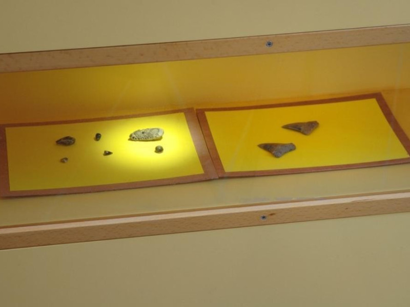 Interno. Reperti. Fedeli, Marcello; jpg; 768 pixels; 511 pixels Interno. Reperti. Fedeli, Marcello; jpg; 768 pixels; 511 pixels