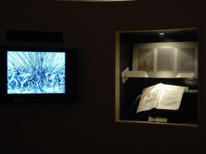 Interno. Museo storico e multimediale Bartolo Fedeli, Marcello; jpg; 768 pixels; 511 pixels Interno. Museo storico e multimediale Bartolo Fedeli, Marcello; jpg; 768 pixels; 511 pixels