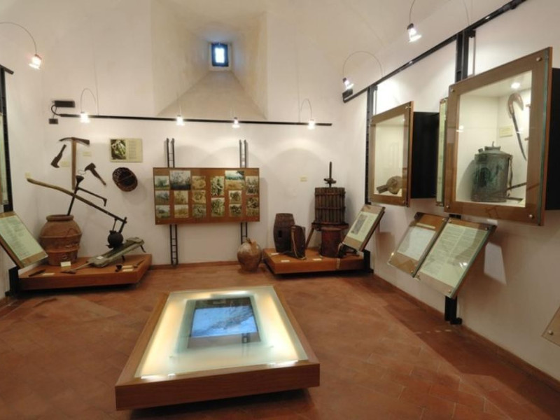 Interno. Museo della civiltà contadina la ter Fedeli, Marcello; jpg; 768 pixels; 511 pixels Interno. Museo della civiltà contadina la ter Fedeli, Marcello; jpg; 768 pixels; 511 pixels