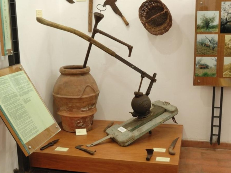 Interno. Museo della civiltà contadina la ter Fedeli, Marcello; jpg; 768 pixels; 511 pixels Interno. Museo della civiltà contadina la ter Fedeli, Marcello; jpg; 768 pixels; 511 pixels